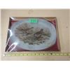 Image 1 : (1) 1960's VTG Pheaseant Painted Glass Platter Stamped Chance England 13'' By 9;; In Original Box
