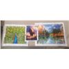 Image 1 : (3) Diamond Paintings.