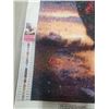 Image 6 : (3) Diamond Paintings.