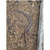 Image 2 : Scythe(62" handle, 26" blade) with sickle(16" blade)