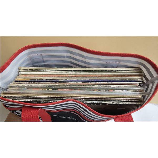 Lot of Vinyl Records in Bookbag inc. Barry White, Cat Stevens, etc.