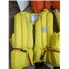 Image 3 : 3 Adult life jackets