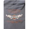 Image 3 : Harley Davidson Youth Hoodie