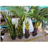 Image 1 : 4 fake plants