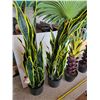 Image 2 : 4 fake plants