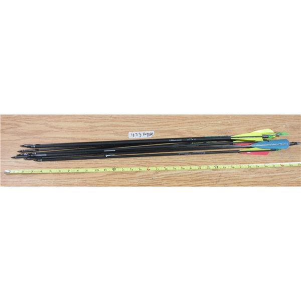 (9) Hunting Arrows 2 Missing Feathers