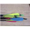 Image 2 : (9) Hunting Arrows 2 Missing Feathers