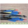 Image 2 : (12) Hunting Arrows 2 Damaged Feathers