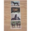Image 3 : (8) Double Sided Animal Cards