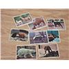 Image 4 : (8) Double Sided Animal Cards