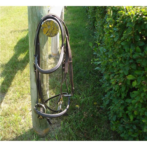 Bridle