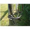 Image 2 : Bridle