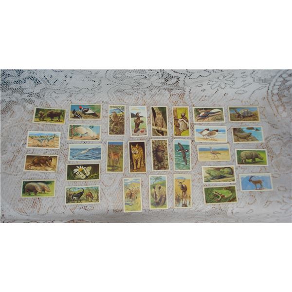 Pre French Brooke Bond Endangered Species Cards  Nice Vintage Condition