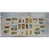 Image 1 : Pre French Brooke Bond Endangered Species Cards  Nice Vintage Condition
