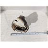Image 4 : Porcelain/Ceramic coinbank, bulldog