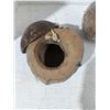 Image 4 : Coconut cups, one sealed