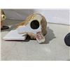 Image 3 : Porcelain/Ceramic ornaments, animation style birds
