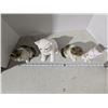 Image 4 : Porcelain/Ceramic cats