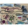 Image 6 : Bag of Jewelry.