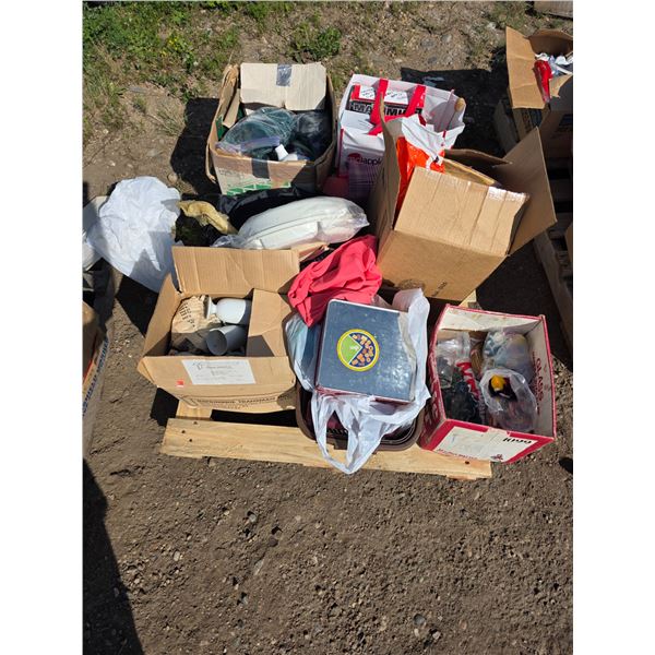 Pallet of misc items- books, cups, christmas lights