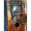 Image 5 : Canada 2001 Spirit Of Canada 25 Cent Coin Sets, 2 Sealed