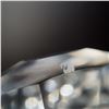 Image 3 : 3pc Swarovski Crystal Maritime Shell and Starfish Collection