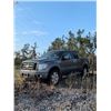 Image 1 : 2009 FORD F150