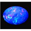 1.25ct Australian Black Opal Doublet Full Fire (GEM-22612G)
