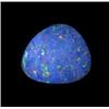2.33ct Australian Black Opal Doublet Full Fire (GEM-22619B)