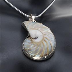 Polished Shell & Sterling Necklace Earrings (JEW-192)