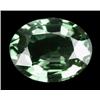 1.5ct Exquisite Green Sapphire Ceylon VVS HEATED ONLY (GEM-17942)