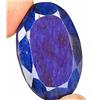 194.27ct Rare Huge Stunning Royal Blue Natural Sapphire  (GEM-18603)