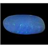 5.84ct Australian Black Opal Doublet Full Fire (GEM-22388A)