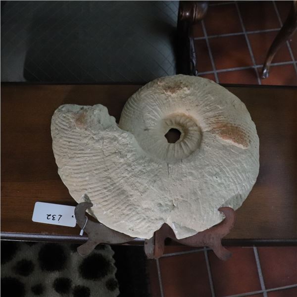 Large Ammonite Fossil Cast with Stand