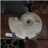 Image 1 : Large Ammonite Fossil Cast with Stand