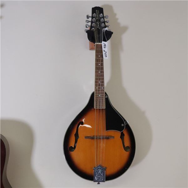 Smoky Mountain Instrument Company A-Style Mandolin