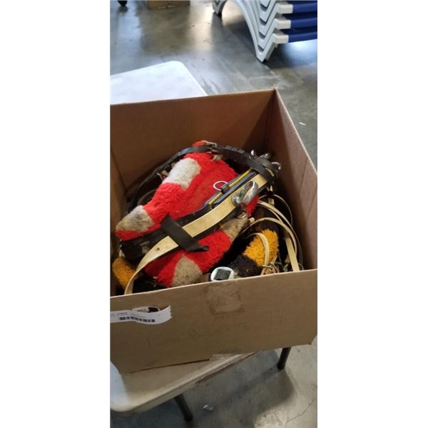 BOX OF HORSE ACCESSORIES