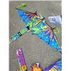 Image 5 : 3 LARGE KITES