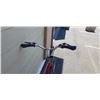 Image 5 : RED RALEIGH BIKE