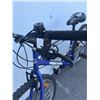Image 2 : BLUE SUPERCYCLE BIKE