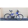 Image 1 : BLUE TRIUMPH BIKE