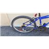 Image 2 : BLUE TRIUMPH BIKE