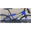 Image 3 : BLUE TRIUMPH BIKE