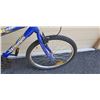 Image 4 : BLUE TRIUMPH BIKE