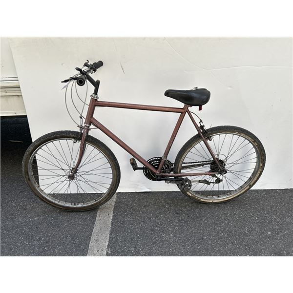 COPPER NO BRAND BIKE