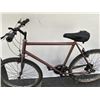 Image 4 : COPPER NO BRAND BIKE