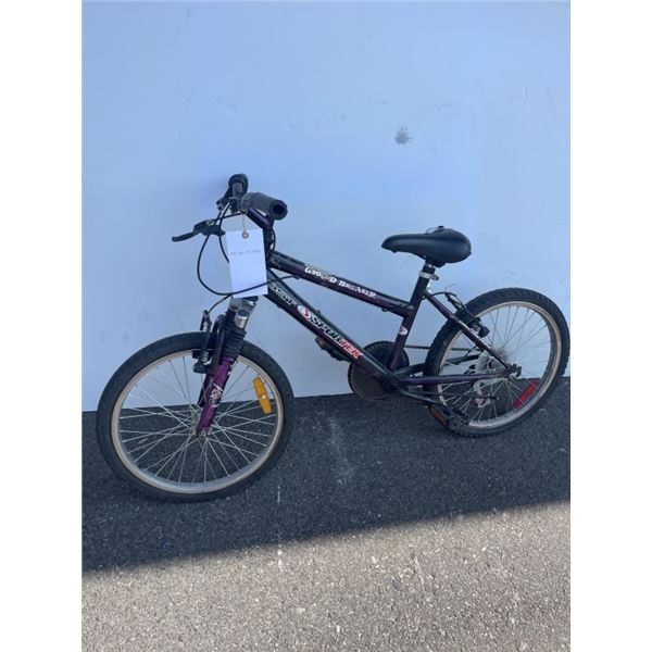 PURPLE/ BLACK SPORTEK BIKE