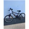 Image 1 : PURPLE/ BLACK SPORTEK BIKE