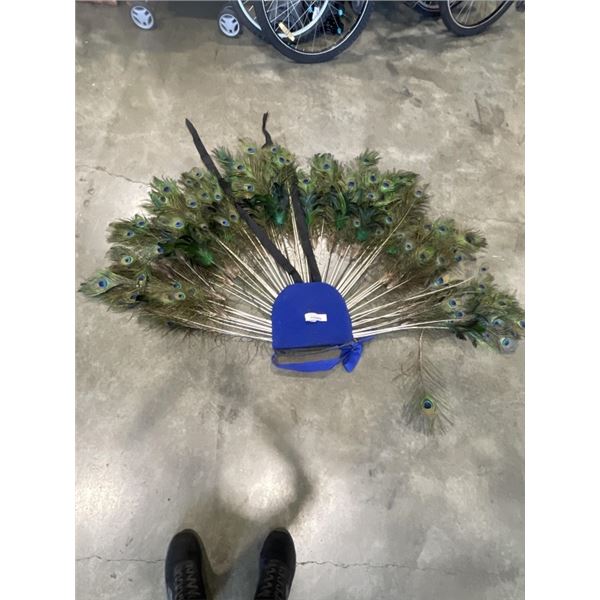 PEACOCK FEATHER DISPLAY WITH WEARABLE HARNESS