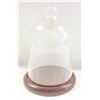 Image 1 : ANTIQUE POCKET WATCH DISPLAY BELL JAR